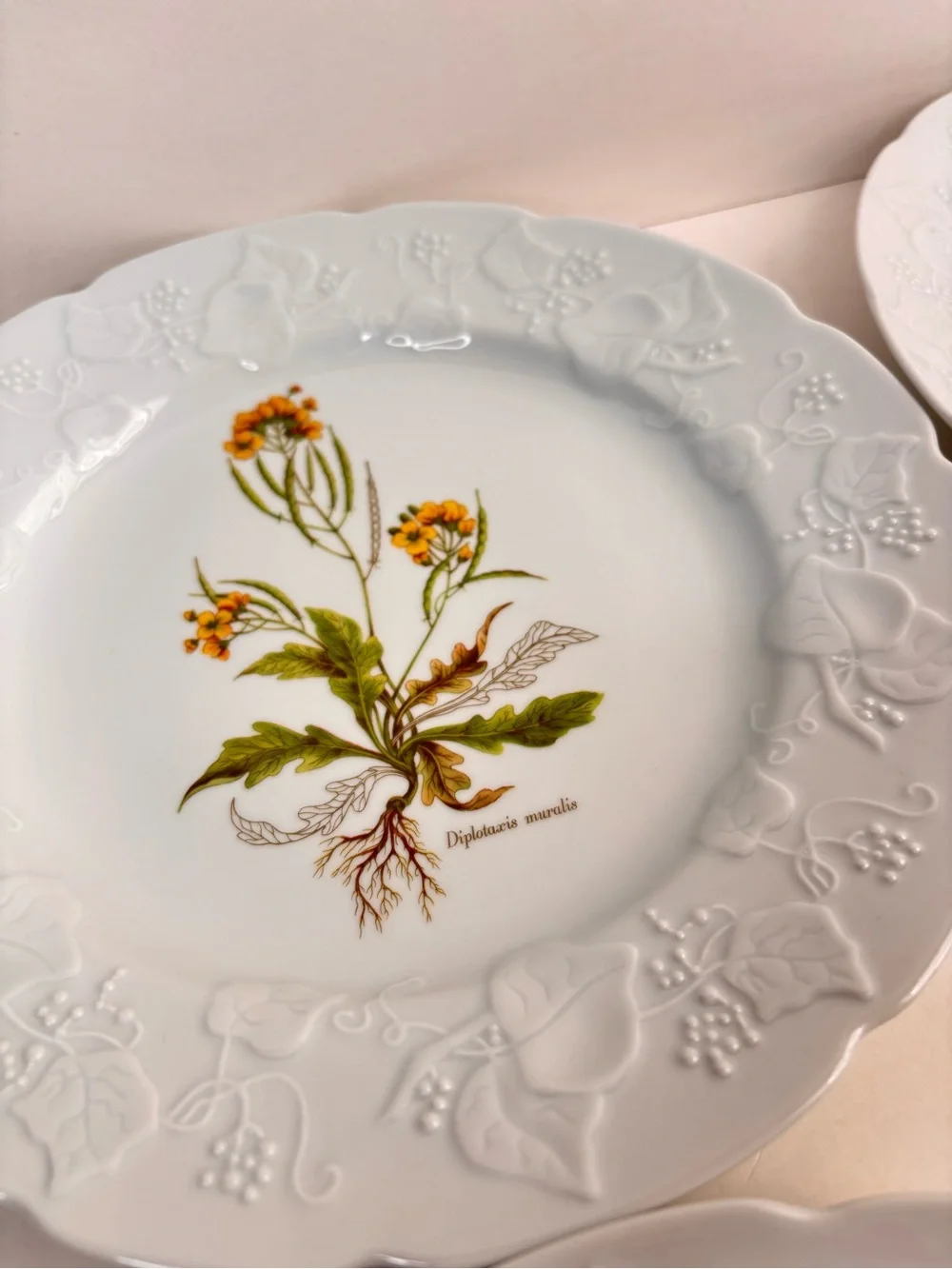 Dansk Ivy Embossed White Porcelain Flower Botanical Luncheon Plates France Set 4
